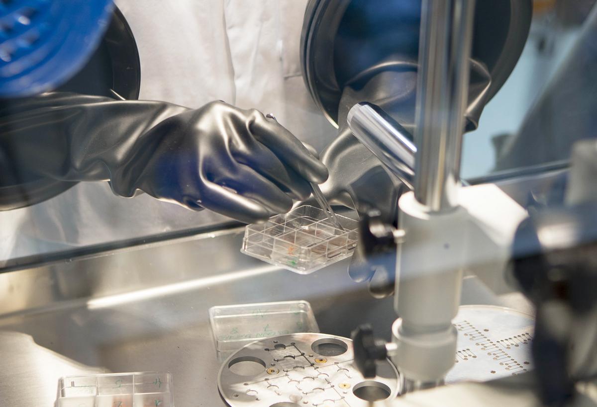 JACOMEX supplier of Aledia, rated top startup of the French-Tech of the week by La Tribune JACOMEX supplier of Aledia, rated top startup of the French-Tech of the week by La Tribune