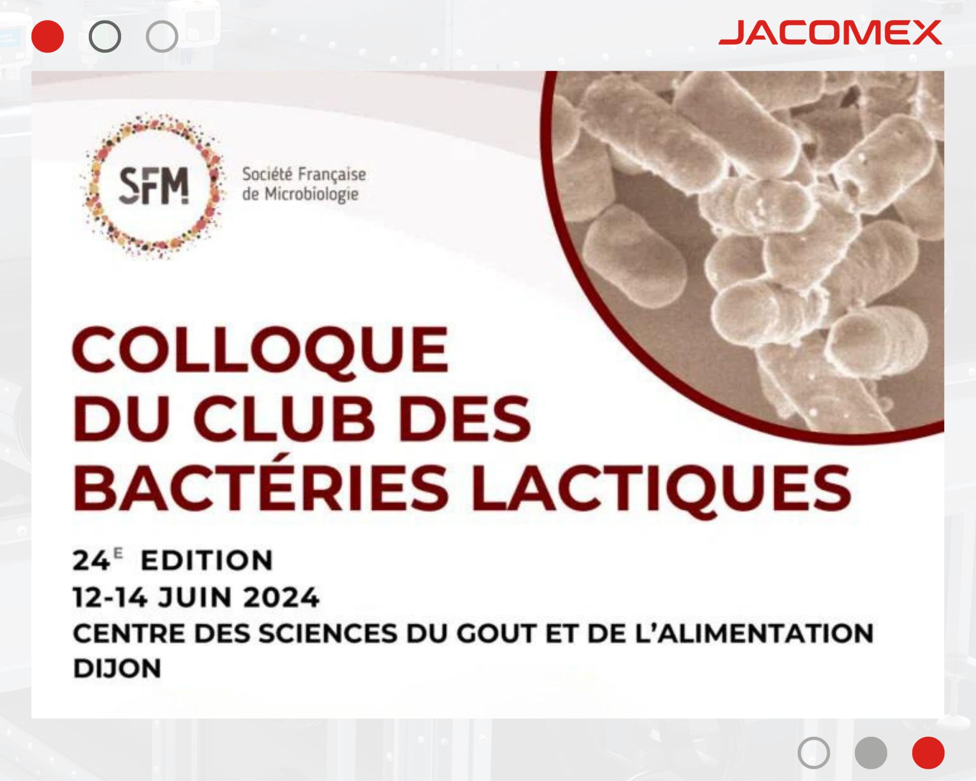 Focus on Microbiota Research ! Focus on Microbiota Research !