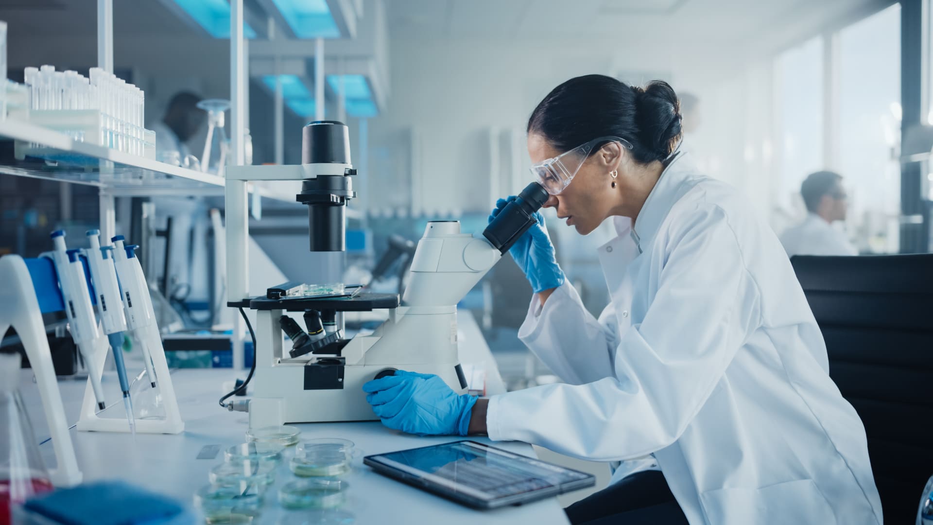 Organische en anorganische chemie