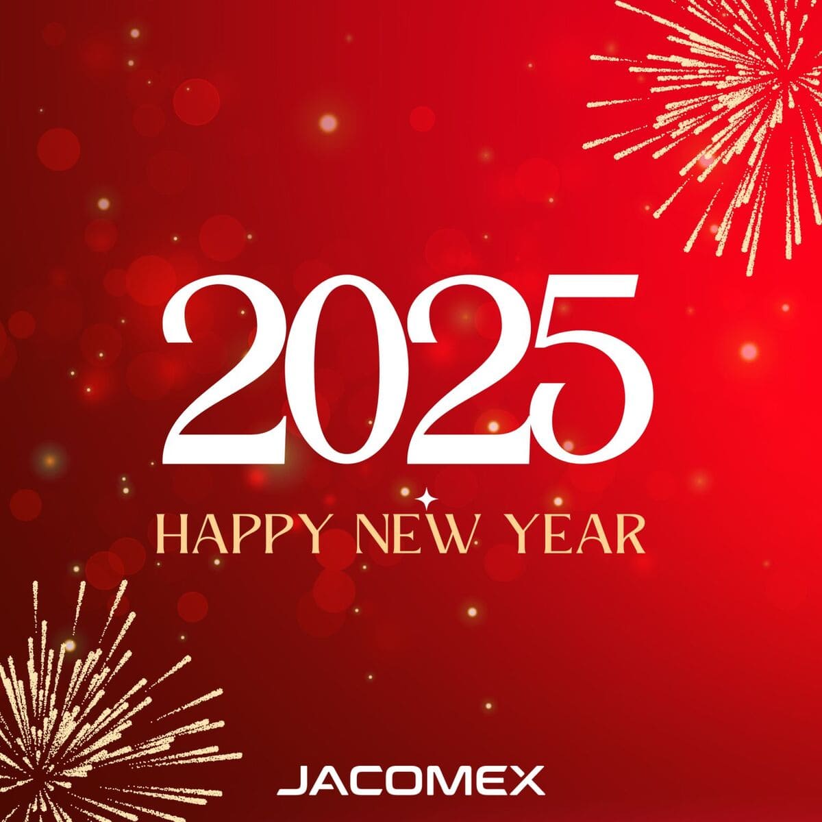 Happy New Year 2025! Happy New Year 2025!